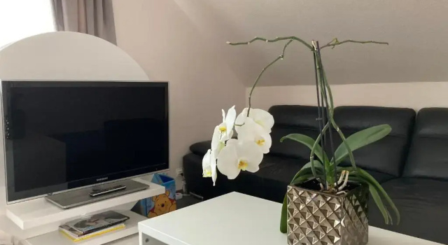Коттедж Дуплекс Modern House Gehrden auf 2 Etagen, Nice Garten, Barbecue, Contactless Check-in, free parking