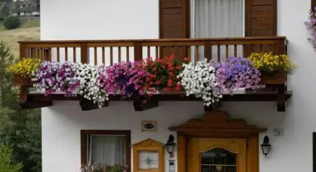 Debra Park Hotel, Забронировать Отель Отели Долины Валь-ди-Фасса 3 звезды, 3*