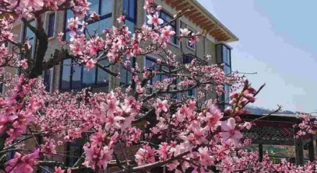 Hutaoling Yunjian Guesthouse, Забронировать Отель Ханчжоу Чжэцзян