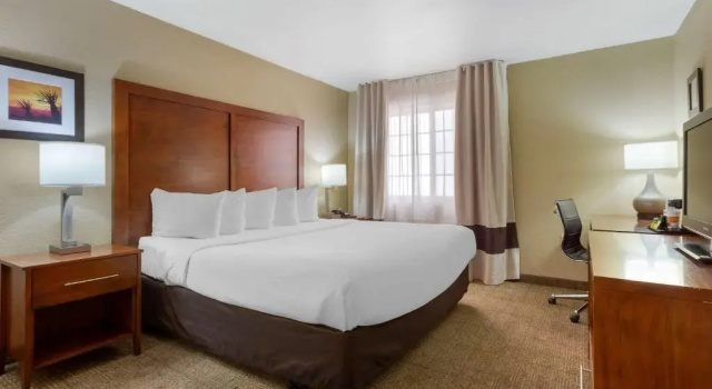 Номер Standard Spark by Hilton Phoenix-Glendale-Peoria