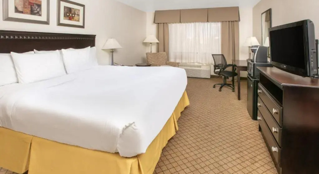 Номер Standard Holiday Inn Express & Suites Roswell
