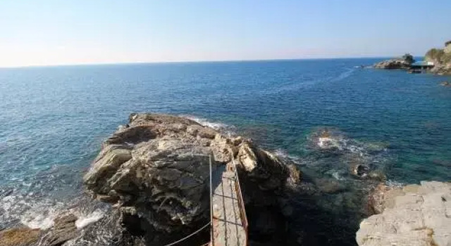 House Nervi