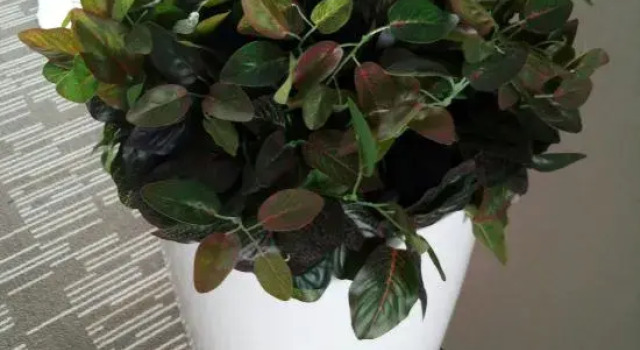 Homeinn Plus Hotel (Linyi Yinan Lishan Road)