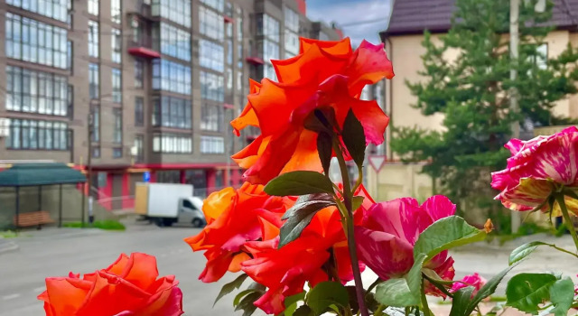 Апартаменты на улице Декабристов 36 корпус 1, Забронировать Апартаменты/квартира Кисловодск Кавминводы