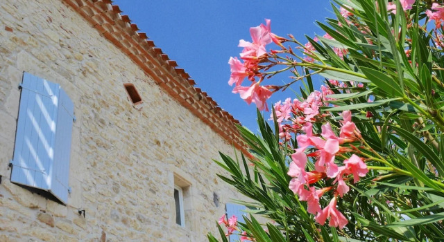 La Bastide, Rezerwuj Pensjonat Donnazac Tarn