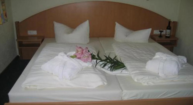 Hotel Goldener Karpfen