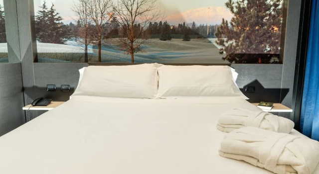 Двухместный номер Standard с видом на сад Hotel Pineta