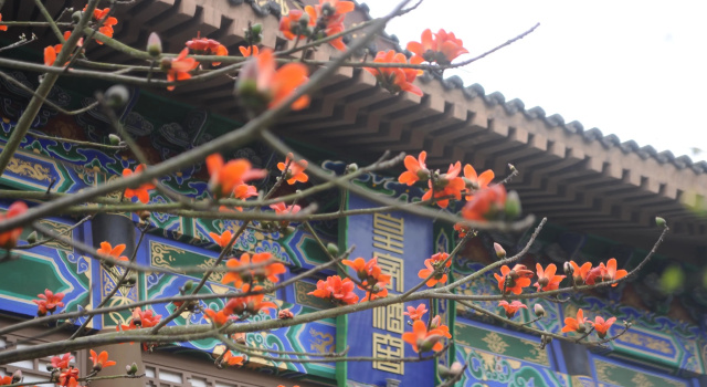 Eadry Royal Garden Hotel Haikou