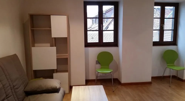 Appartement Les Tanneurs Colmar Le Green