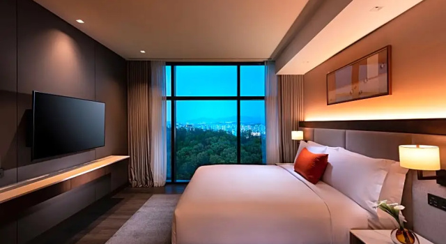 Двухместный люкс Deluxe c 1 комнатой DoubleTree By Hilton Seoul Pangyo
