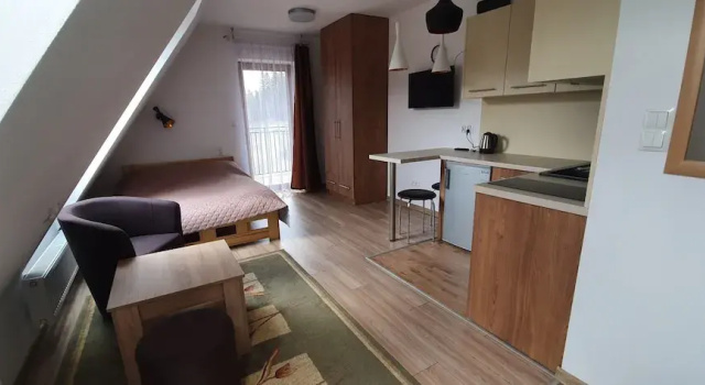 Студия Standard Apartamenty CEDE Zakopane