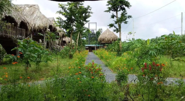 Номер Deluxe Sunny Field Eco Stilt House