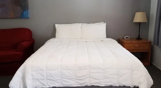 Номер Standard Stone Mountain Lodge