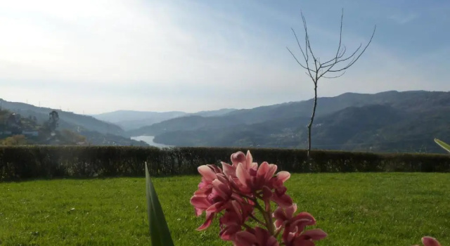 Quinta do Bento