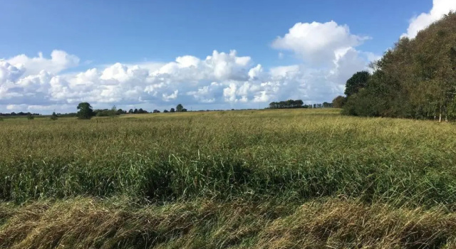 Moderne Unterkunft Landzeit Esens nahe der Nordsee - ökologisch saniertes Ferienhaus, Забронировать Апартаменты/квартира Отели Эзенс с парковкой, Парковка