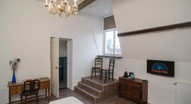 Двухместный номер Superior Boutique Hotel De Blauwe Pauw