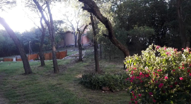 Eco Veggie Hostel Balaramapuri, Rezervasyon Pansiyon / Hostel Córdoba havuzlu oteller, Yüzme Havuzu