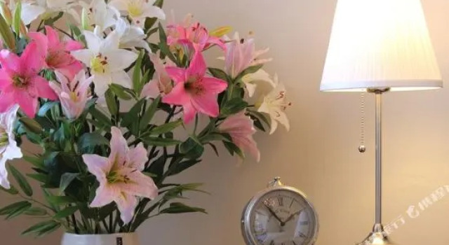 Royal Prague Apartment Celakovskeho Sady, Reservar Apartamento Prague 01 Praga