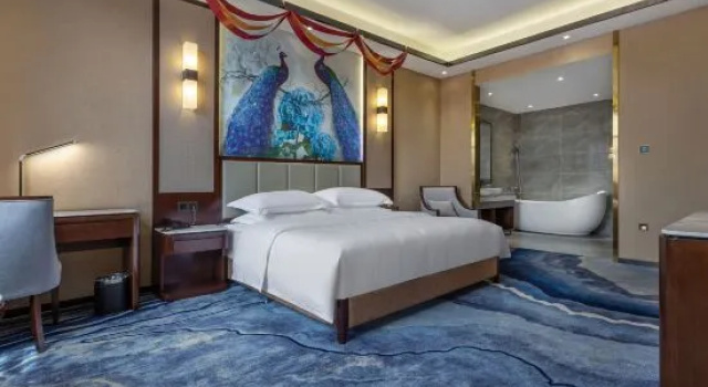 Люкс Superior Alashankou Star Star Boutique Hotel