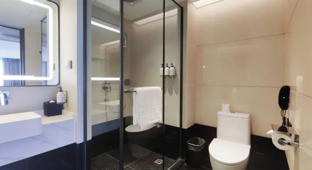 Двухместный номер Standard Swissôtel Shenyang
