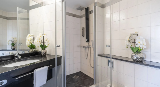 Одноместный номер Standard PLAZA INN Stuttgart Airport Messe