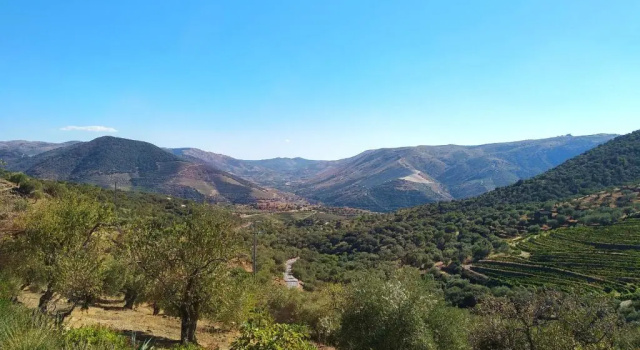 Вилла с 2 комнатами Quinta Vale de Carvalho