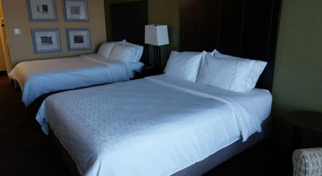 Run of House Holiday Inn Express Hotel & Suites Lansing-Dimondale by IHG