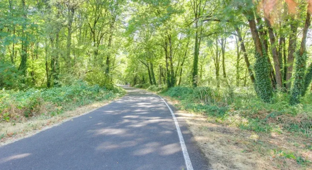 Pet-friendly Home w/ Yard, 2 Mi to Autzen Stadium, จอง บ้านพักตากอากาศ Springfield Willamette Valley