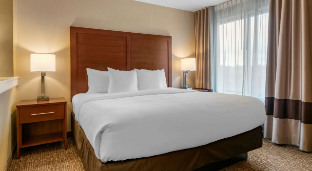 Двухместный люкс Comfort Inn PA Turnpike - 1-81