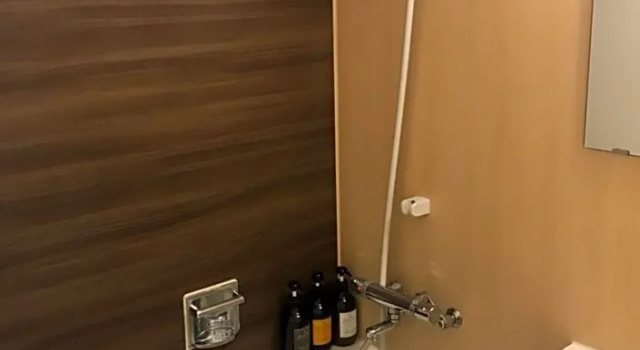 Номер Deluxe Bayside Hotel Azur Takeshiba