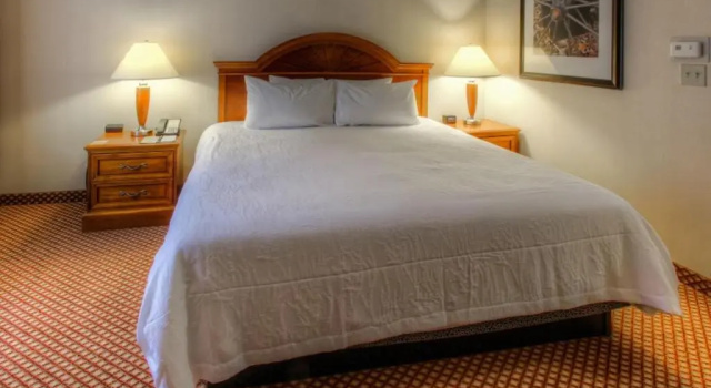Люкс Hilton Garden Inn Williamsburg