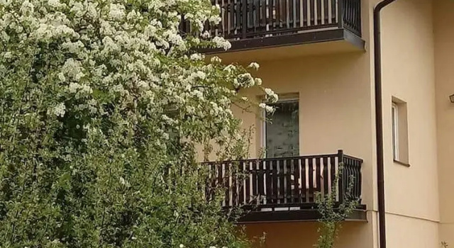 Apartments Vila Velickovic, Забронировать Апартаменты/квартира Златибор Zlatibor Region