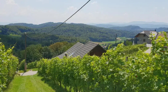 Zidanica Meglič - Vineyard cottage Meglič, Забронировать Дом для отпуска Отели Требнье с парковкой, Парковка