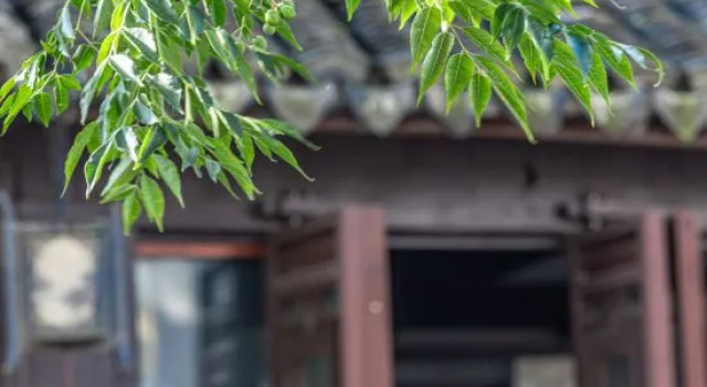 Sheyu Hostel