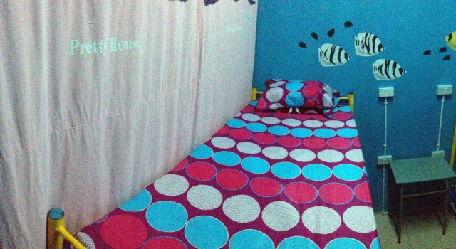 Bubble Backpackers