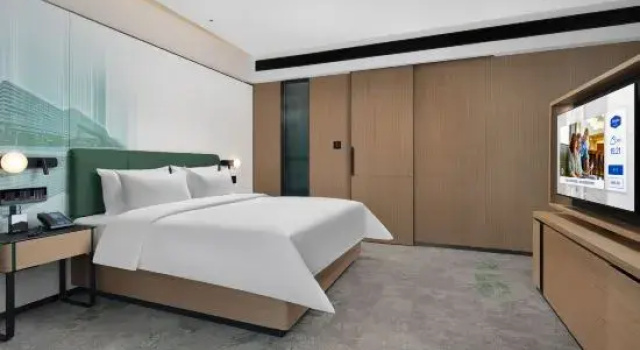 Люкс Hampton by Hilton Yichun High-speed Railway Station