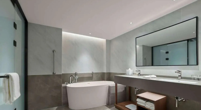 Люкс Deluxe Hilton Garden Inn Lhasa