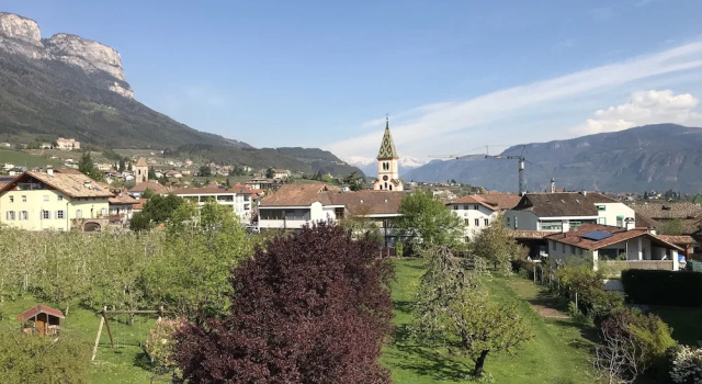 Одноместный номер Economy с балконом Angerburg Blumenhotel