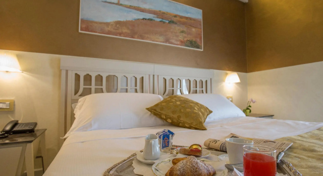 Одноместный номер Standard Hotel Hermitage
