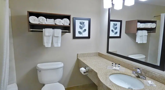 Двухместный люкс Country Inn & Suites by Radisson, Tampa-Brandon, FL