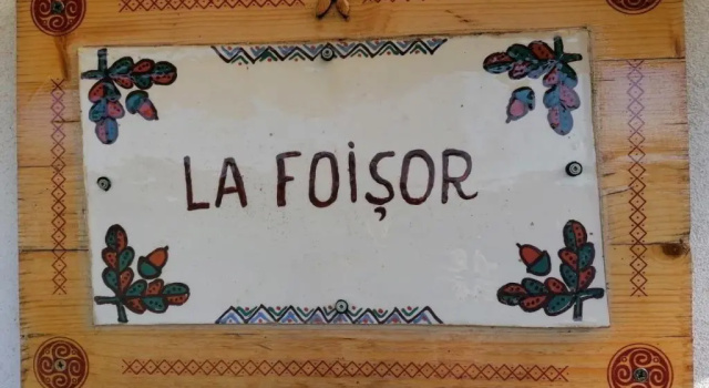 Коттедж La Foisor