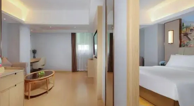 Люкс Business Vienna International Hotel (Wanzhou Gaosuntang Pedestrian Street Branch)