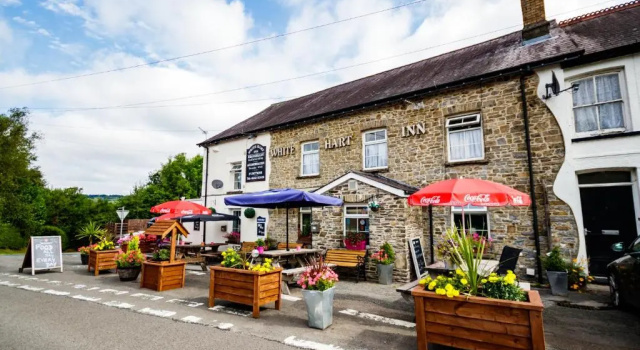 Семейный номер Standard White Hart Llandeilo