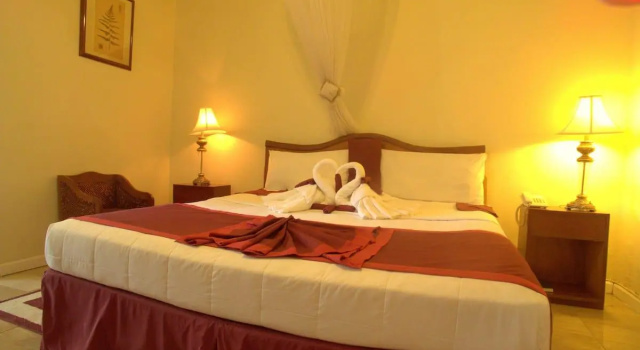 Двухместный номер Deluxe Executive Airport Hotel