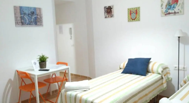 Двухместный номер Standard Цокольный этаж Apartamentos Centurión