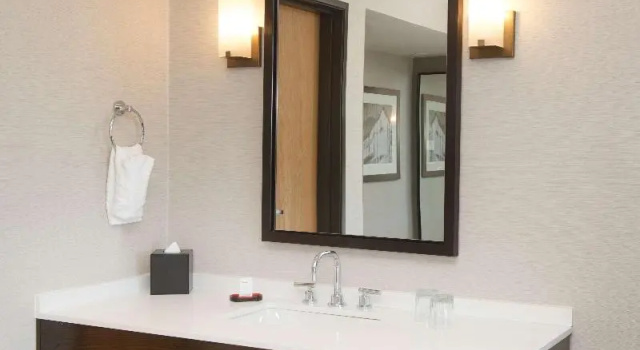 Двухместный номер Standard Embassy Suites by Hilton Denver Tech Center North