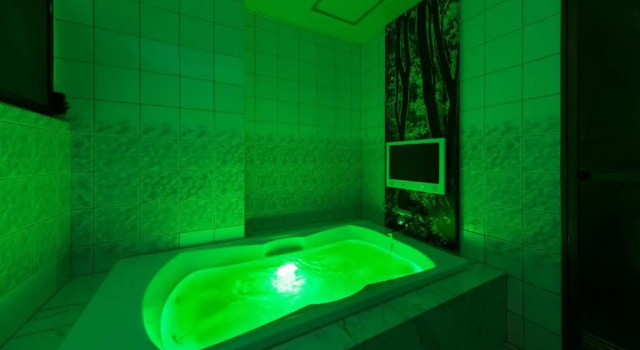 Номер Standard Hotel Plant Garden Resort (Adult Only)