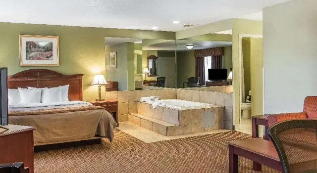 Люкс Quality Inn & Suites Ann Arbor Hwy 23