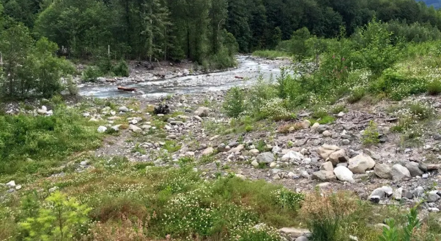 Номер Standard Glacier Springs Cabin - Wood Stove, Hot Tub, Wifi, Sleeps 8