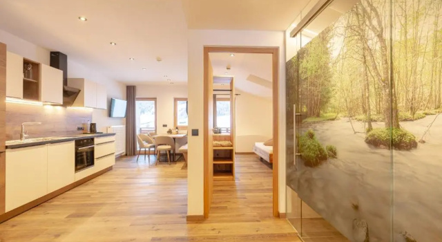 Апартаменты Superior Residence Alpina